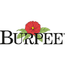 Burpee